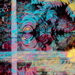Pachamama