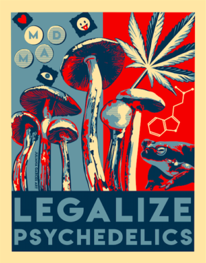 Legalize Psychedelics 4 x 5 Vinyl Stickers