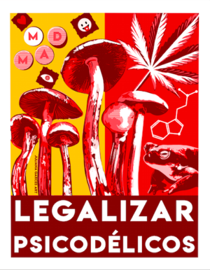 Legalize Psychedelics Spanish 11 x 14 Print