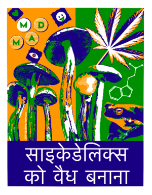 Legalize Psychedelics Hindi 11 x 14 Print