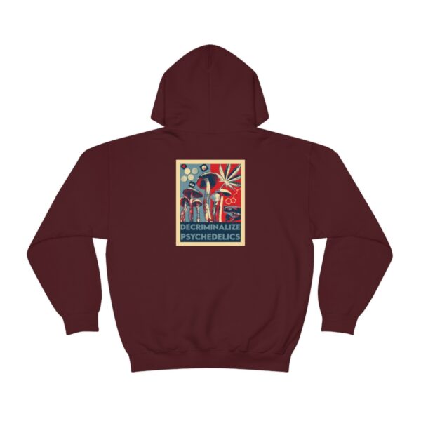 Decriminalize Psychedelics Unisex Hoodie 11 Color Options - Image 29