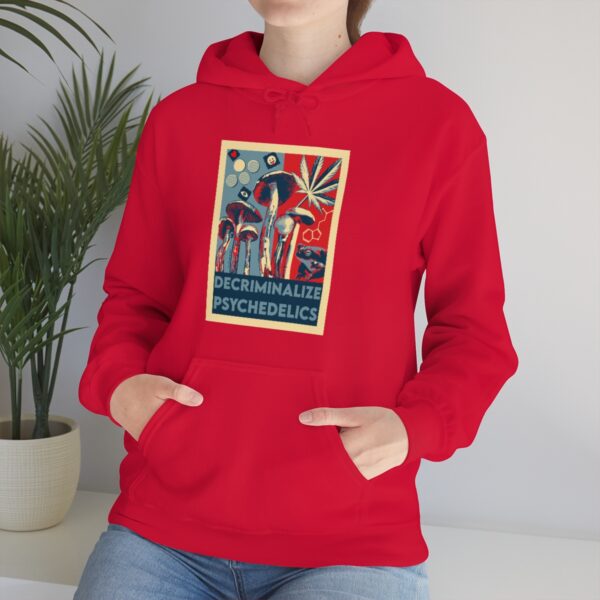 Decriminalize Psychedelics Unisex Hoodie 11 Color Options - Image 97