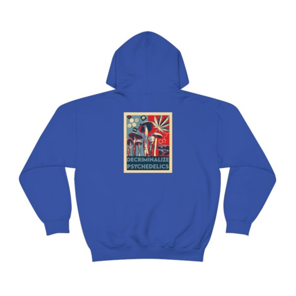 Decriminalize Psychedelics Unisex Hoodie 11 Color Options - Image 65