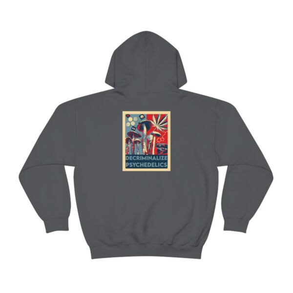 Decriminalize Psychedelics Unisex Hoodie 11 Color Options - Image 56