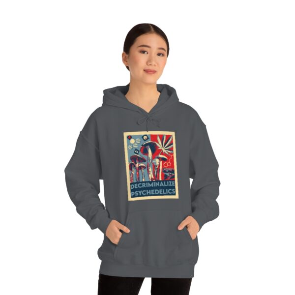 Decriminalize Psychedelics Unisex Hoodie 11 Color Options - Image 57