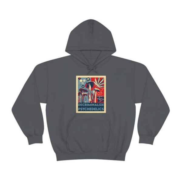 Decriminalize Psychedelics Unisex Hoodie 11 Color Options - Image 55