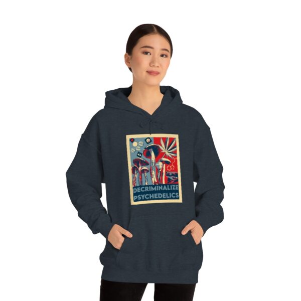 Decriminalize Psychedelics Unisex Hoodie 11 Color Options - Image 84