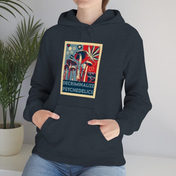 Decriminalize Psychedelics Unisex Hoodie 11 Color Options - Image 88