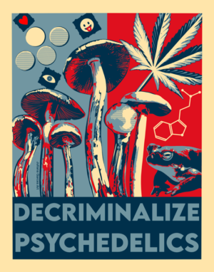Decriminalize Psychedelics 8 x 10 Print